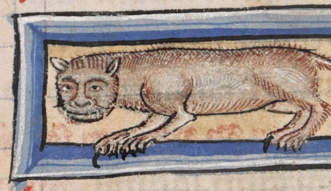 medieval-ugly-cat12